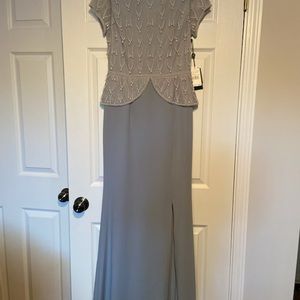 Adrianna Papell mother of the bride dress- NEVER WORN
